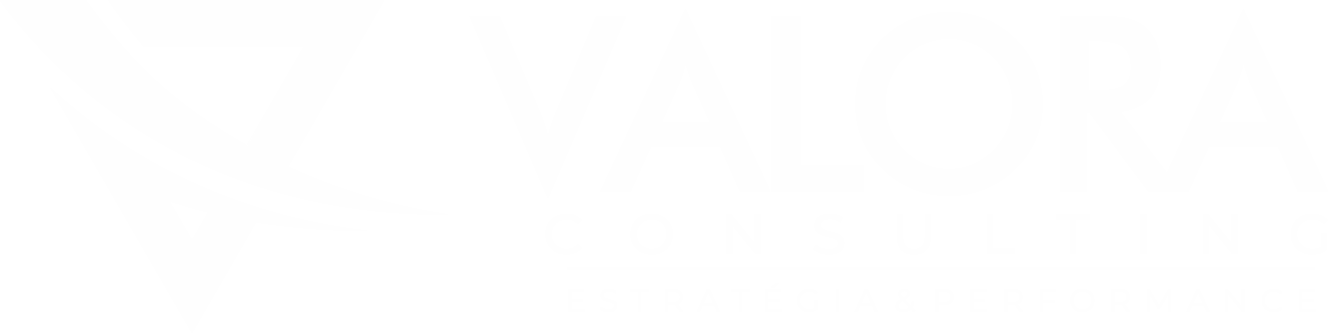 Valora Consulting – Estratégia & Performance